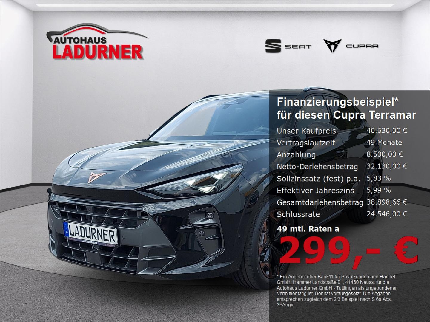 Cupra Terramar 2.0 TSI 204 PS 4Drive VZ*Navi*Memory Si