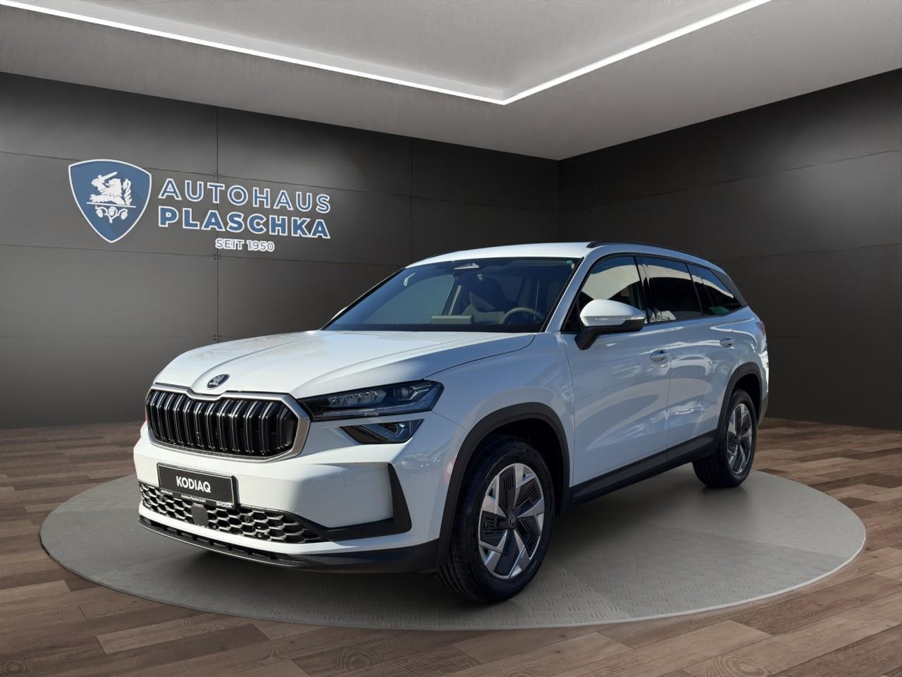 Skoda Kodiaq Selection 2,0 TDI 110 kW 7-Gang-DSG