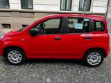 Fiat Panda 1,2 City - Fiat Panda Gebrauchtwagen in Hannover
