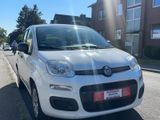Fiat Panda Pop*TÜV*INSPEKTION* - Fiat Panda: Pop