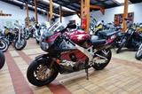 Honda CBR 900 RR+SC28+30100KM+Reifen/Service/TÜV neu+ - Angebote