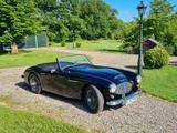 Austin Healey 3000 - MK I (BT7)