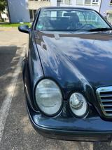 Mercedes-Benz CLK 230 KOMPRESSOR AVANTGARDE Avantgarde - Mercedes-Benz CLK 230: Sportwagen