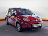 Fiat Panda Pandina Mild Hybrid 1.0 RED Klima PDC - Fiat Panda: Red