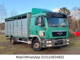 MAN TGM 15.290 - Viehtransporter 4x2 Blatt.Luft / AC - Angebote
