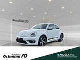 Volkswagen Beetle Sport BMT110kw TSI DSG *BiXenon*NAVI*RFK* - Volkswagen Beetle: Weiß