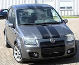 Fiat Panda 100HP - Fiat Panda: 100hp