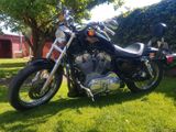 Harley-Davidson Harley  Sportster 883 - HARLEY-DAVIDSON 2009 883