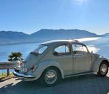 Volkswagen BJ.69, kompl.Historie,Erstlack,Sammlerfzg.SD. - Volkswagen Käfer Oldtimer