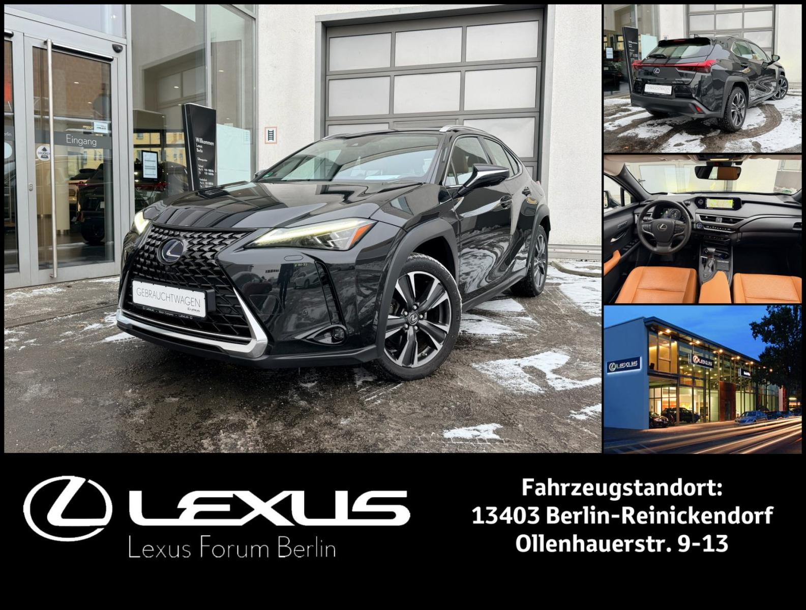 Lexus UX 250h 2,0 HEV Luxury Line * Schiebedach * 360