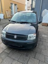 Fiat Panda - Fiat Panda in Hamm