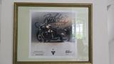 Triumph TFC Bobber - TRIUMPH FACTORY CUSTOM