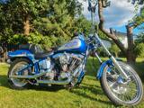 Harley-Davidson 1986 FXSTC Softail Custom orig. Blue Frame  - HARLEY-DAVIDSON 1986