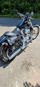 Harley-Davidson Sportser XL883 - Offers matching your search criteria