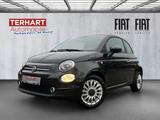 Fiat 500 1.0 Mild Hybrid/Park-Distance-Control/Apple& - Fiat 500 Vorführfahrzeuge
