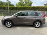 Honda CR-V Elegance Black Edition 4WD,Aut.,WR,AHKAlu - Honda CR-V mit Diesel-Antrieb