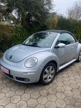 Volkswagen New Beetle 1.9 TDI  Cabriolet - - Volkswagen New Beetle aus 2008