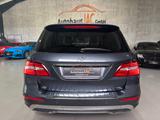 Mercedes-Benz ML 350/BlueEfficiency/LED/360*/TOTW/SHZ/SPURH/ - Mercedes-Benz mit Benzin-Antrieb: Ml