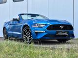 Ford Mustang 2.3 Cabrio EcoBoost/Premium/RKam/PDC - gebrauchte Ford Mustang aus dem Jahr 2019
