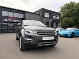 Land Rover RR Evoque Pure 1Hd/Leder/Xenon/PDC/NUR74TKM/18 - Land Rover Gebrauchtwagen von 2015