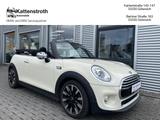 MINI Cooper Cabrio Aut. Navigation LED KeyLess Chili - MINI Cooper Cabrio Gebrauchtwagen