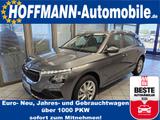 Skoda Kamiq Tour Climatr,ACC,Sitz/Lenkradhzg,el.Heckkl