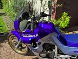 Honda Transalp PD 06 - HONDA TRANSALP PD06