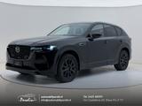 Other Model not specified 2024