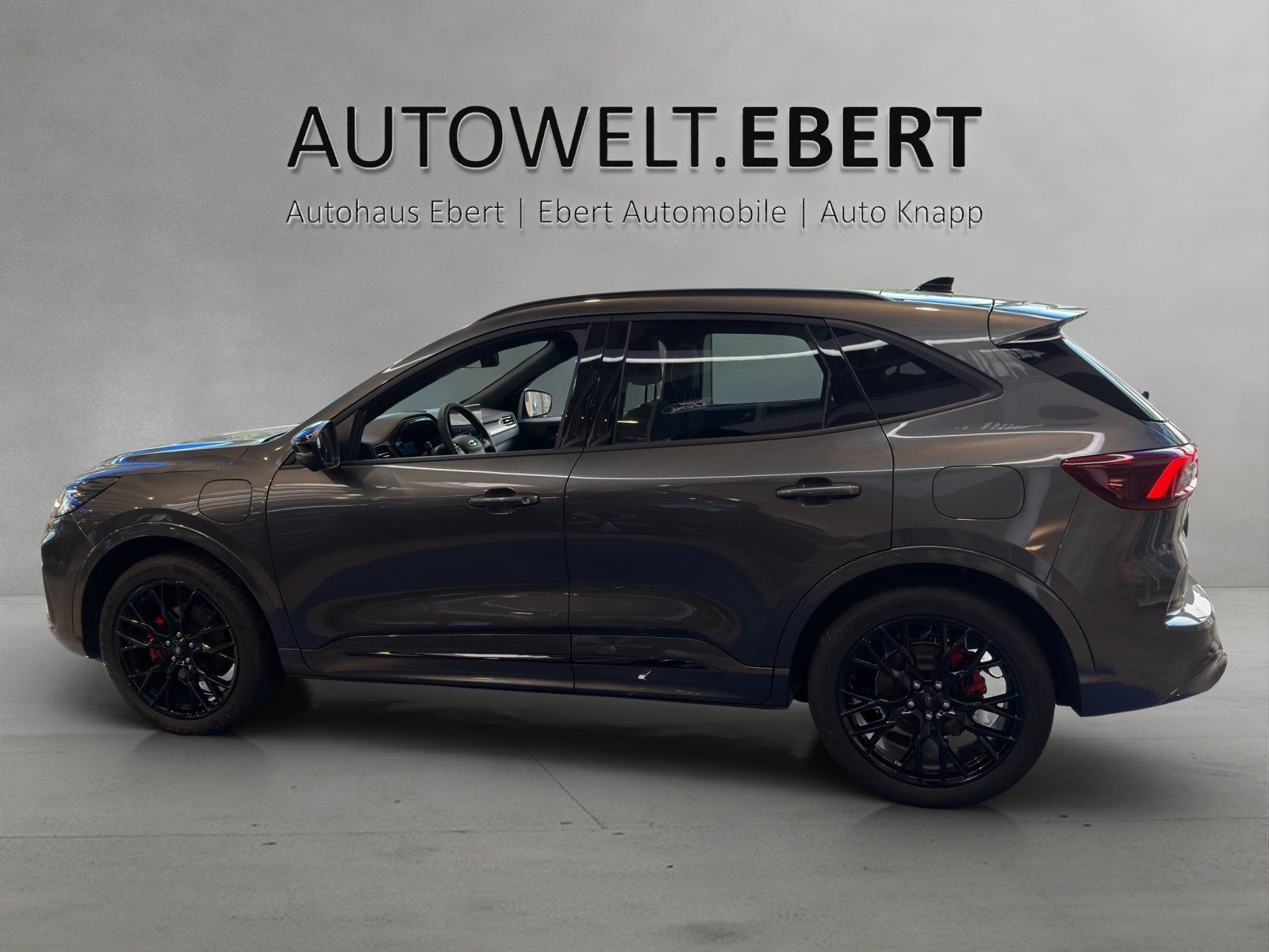 Ford Kuga Sound Edition 20Zoll Pano Dach LED Matrix imagem 2