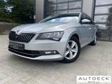 Skoda Superb Combi 2.0TDI Ambition*DSG*SHZ*Navi*DAB+* - Skoda Gebrauchtwagen in Flensburg