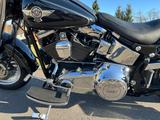 Harley-Davidson Fat Boy FLSTF - Angebote