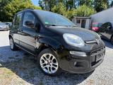 Fiat Panda Lounge - Fiat Panda: Schwarz