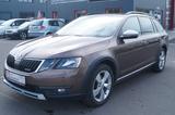 Skoda Octavia Combi Scout 4x4*1.Hand - Skoda: Combi Scout