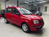 Fiat Panda 1.2 8V Dynamic *2.HD* - Fiat Panda Gebrauchtwagen in Düsseldorf