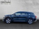 Kia Sorento Platinum 4WD 1.6 T-GDI Hybrid Platinum * - Kia Sorento aus 2024