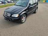 Mercedes-Benz ML 55 AMG Schwarz Leder Xenon W163 - Mercedes-Benz: Ml AMG 55