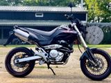 Honda FMX 650 - Offers matching your search criteria