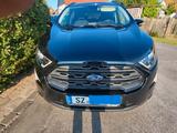 Ford EcoSport 103kW ST-Line, AHK, Alu, Kamera, Temp - Ford: Ka E10