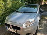 Fiat Punto, 2013, 1. Hd. 43.350 km - Fiat Punto: 1.3