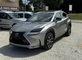 Lexus NX 300 300h Sport Line E-FOUR Sport Line - Lexus NX 300 von privat