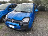 Fiat FIAT Pandina III 2024 Cross - Pandina Cross 1.0  - Jahreswagen bis 10.000 Euro
