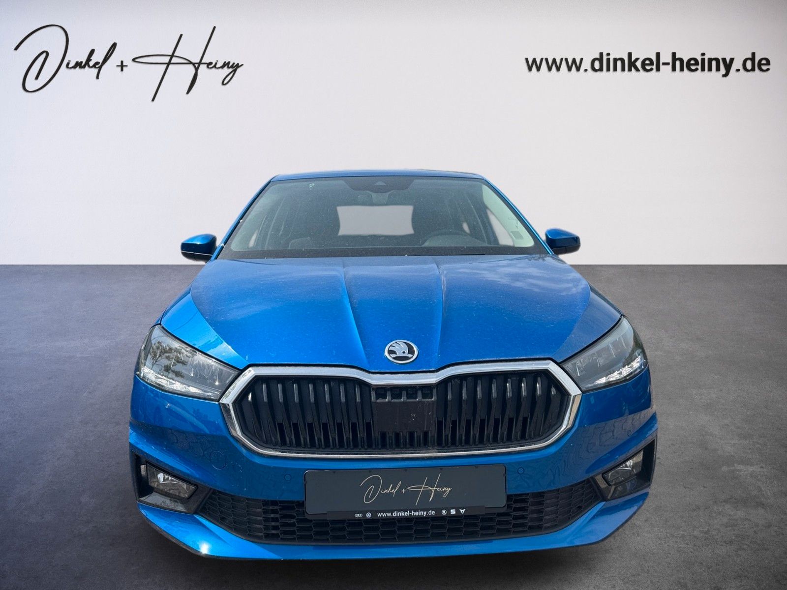 Fahrzeugabbildung SKODA Fabia Ambition 1.0 TSI