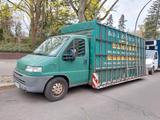 Fiat Ducato 2.8jtd Pritsche LKW Glasreff T... - LKW pritsche gebraucht