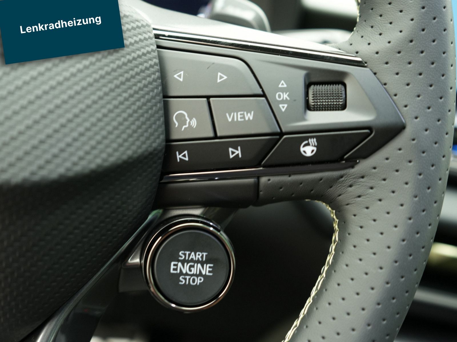 Cupra Terramar - Bild 15
