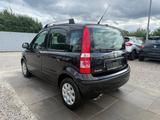 Fiat Panda 1.2 8V Dynamic Sportsitze Sport Lenkrad - gebrauchte Fiat Panda aus dem Jahr 2012