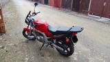 Suzuki GS500E - SUZUKI GS 500
