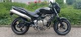 Honda Hornet (PC 34) - HONDA 1999 HORNET