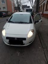 Fiat Auto fiat punto - Fiat Punto in Duisburg
