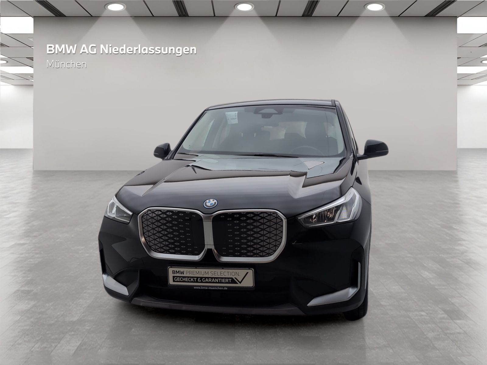 BMW iX1 xDrive30 Harman K Kamera Pano.Dach Privacy G foto 3