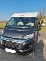 Carado V337 Europa Edition - Carado 337